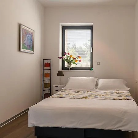 Holiday home Pedena Benazici
